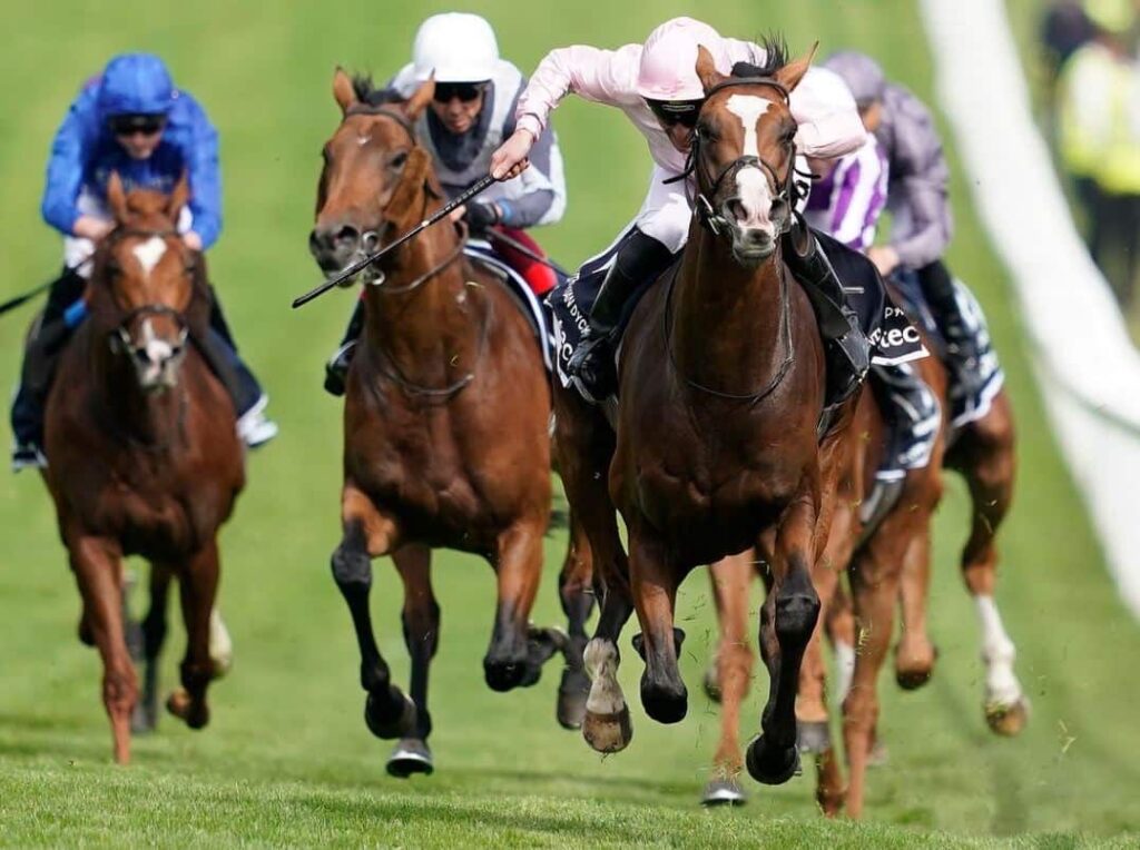 horse racing