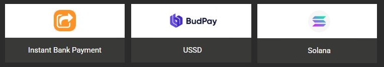 afropari payment methods 2